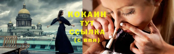 крисы Березники